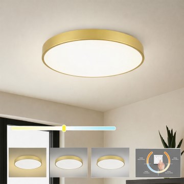 Brilagi - POOL LED Ceiling Light 60W/230V 3000/4000/6000K Ø 60 cm, gold
