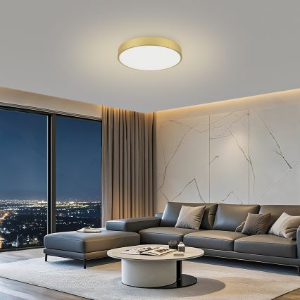 Brilagi - POOL LED Ceiling Light 60W/230V 3000/4000/6000K Ø 60 cm, gold