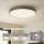 Brilagi - POOL LED Ceiling Light, 60W, 230V, 3000/4000/6000K, Ø 60 cm, Green