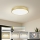 Brilagi - POOL LED Ceiling Light, 60W, 230V, 3000/4500/6000K, Ø 60 cm, Gold