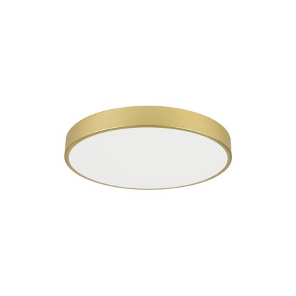 Brilagi - POOL LED Ceiling Light, 60W, 230V, 3000/4500/6000K, Ø 60 cm, Gold
