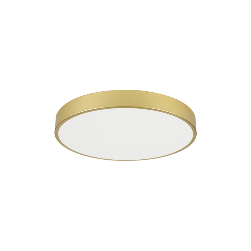 Brilagi - POOL LED Ceiling Light, 60W, 230V, 3000/4500/6000K, Ø 60 cm, Gold