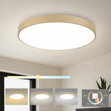 Brilagi - POOL LED Ceiling Light LED/100W/230V, Selectable 3000/4000/6000K, Ø 80 cm, Beige