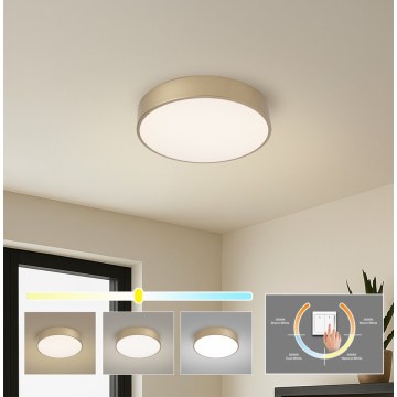 BRILAGI - POOL LED Ceiling Light LED/36W/230V 3000/4000/6000K Ø 30 cm Gold