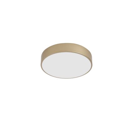 BRILAGI - POOL LED Ceiling Light LED/36W/230V 3000/4000/6000K Ø 30 cm Gold