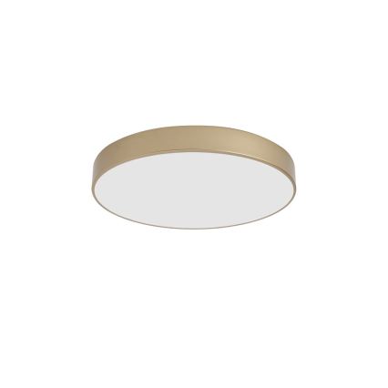 BRILAGI - POOL LED Ceiling Light LED/60W/230V 3000/4000/6000K Ø 50 cm Gold