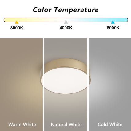 BRILAGI - Dimmable POOL LED ceiling light 24W/230V 3000-6000K dia. 20 cm gold + remote control