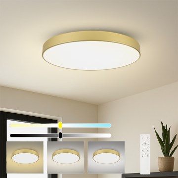 Brilagi - POOL SMART Dimmable LED Ceiling Light 128W/230V 3000-6000K 100 cm Gold Tuya Wi-Fi + Remote Control