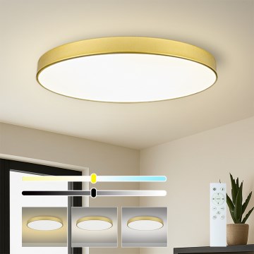 Brilagi - POOL SMART Dimmable LED Ceiling Light 128W/230V 3000–6000K 100 cm Gold Wi‑Fi Tuya + Remote Control