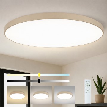 Brilagi - POOL SMART Dimmable LED Ceiling Light/180W/230V 3000-6000K 120 cm Beige Wi-Fi Tuya + Remote Control