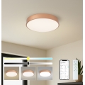 BRILAGI - POOL SMART Dimmable LED Ceiling Light, 48W/230V, 3000-6000K, Ø 40 cm, Tuya Wi-Fi, Bronze + Remote Control