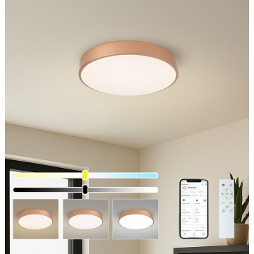 BRILAGI - POOL SMART Dimmable LED Ceiling Light, 48W/230V, 3000-6000K, Ø 40 cm, Tuya Wi-Fi, Bronze + Remote Control