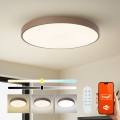 Brilagi - POOL SMART LED Dimmable Fixture / 100W / 230V, Ø 80 cm, 3000–6000K, Wi‑Fi (Tuya) + Remote Control, Brown