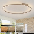 Brilagi - PORTOFINO Dimmable LED Ceiling Light, 85W, 230V, 3000–6000K, Ø 120 cm, Beige + Remote Control
