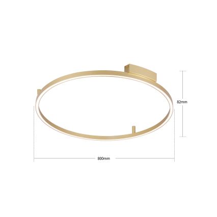 Brilagi - PORTOFINO Dimmable LED Ceiling Light 60W/230V 3000-6000K Ø 80 cm Gold + Remote Control