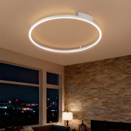 Brilagi - LED Dimmable Ceiling Light PORTOFINO LED/60W/230V 3000-6000K Ø 80 cm silver + remote control