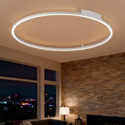 Brilagi - PORTOFINO Dimmable LED Ceiling Light 85W/230V 3000-6000K Ø 120 cm Silver + Remote Control
