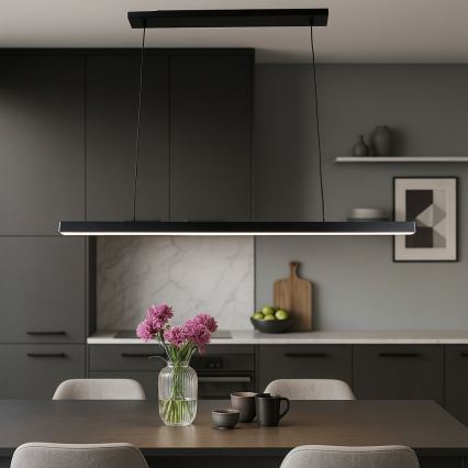 Brilagi - PPAXIS LED Cable Pendant Light 30W/230V 120 cm Black