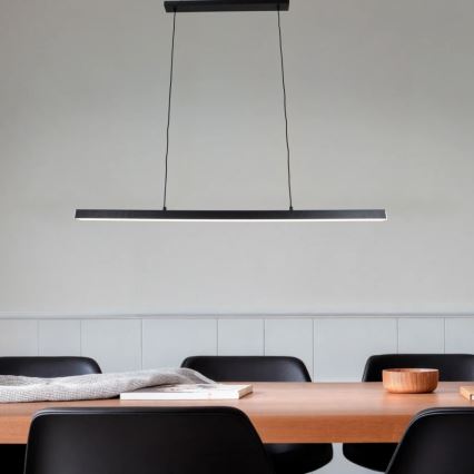 Brilagi - PPAXIS LED Cable Pendant Light 30W/230V 120 cm Black