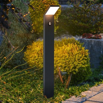 Brilagi - RIANO LED Outdoor Lamp with Sensor LED/8W/230V Anthracite IP65 80 cm