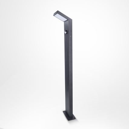 Brilagi - RIANO LED Outdoor Lamp with Sensor LED/8W/230V Anthracite IP65 80 cm