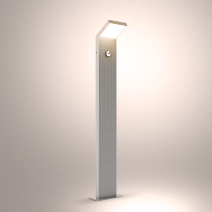 Brilagi - LED Outdoor Lamp with Sensor RIANO LED/8W/230V Silver IP65