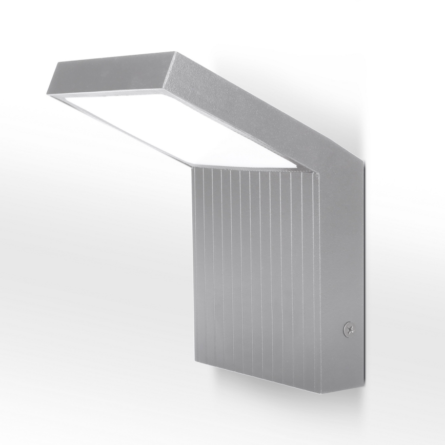 Brilagi - RIANO LED Outdoor Wall Light LED/8W/230V Silver IP65