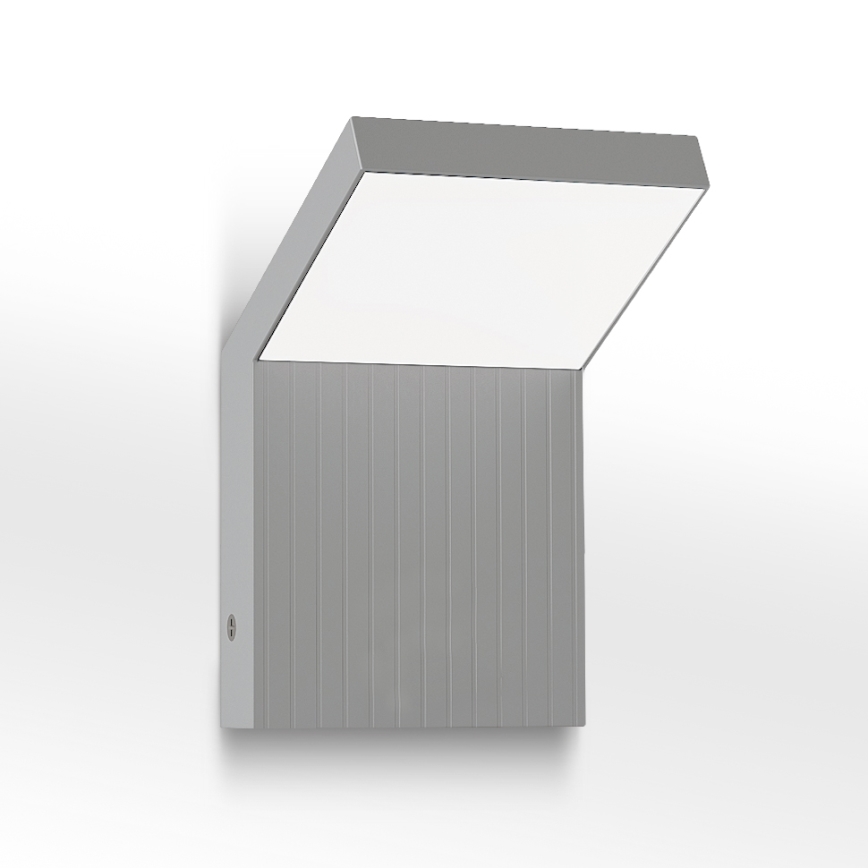 Brilagi - RIANO LED Outdoor Wall Light LED/8W/230V Silver IP65