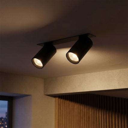 Brilagi - SELE recessed downlight 2xGU10/30W/230V black