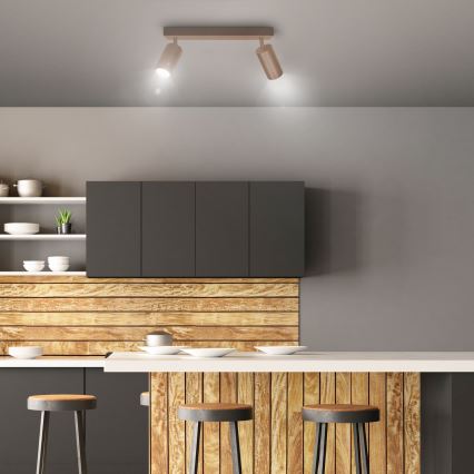 Brilagi - SELE Spotlight 2xGU10/30W/230V Beige