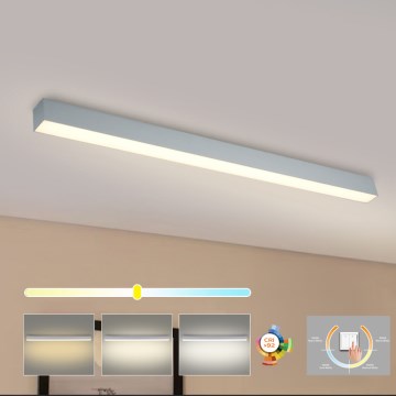 Brilagi - SLEEKLINE LED Bathroom Ceiling Light LED/40W/230V 3000/4500/6000K Silver IP44