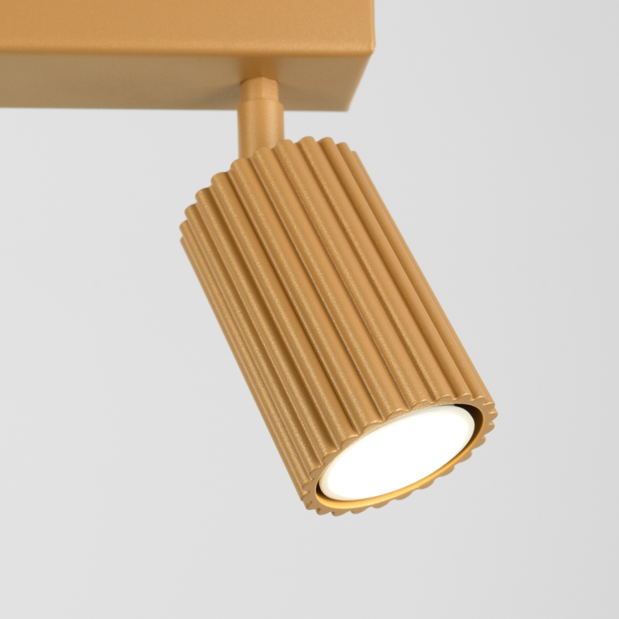 Brilagi - Spotlight CRESTO 2xGU10/10W/230V gold