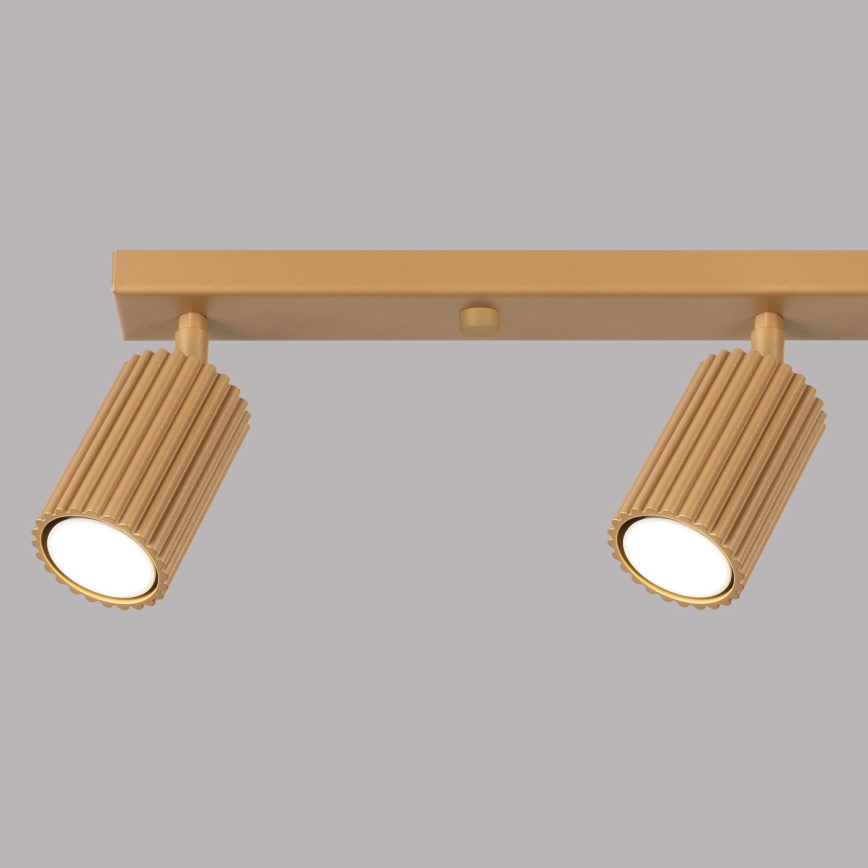 Brilagi - Spotlight CRESTO 4xGU10/10W/230V gold