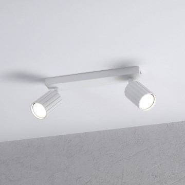 Brilagi - Spotlight CRISPINA 2xGU10/10W/230V white