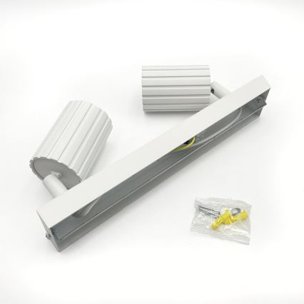 Brilagi - Spotlight CRISPINA 2xGU10/10W/230V white