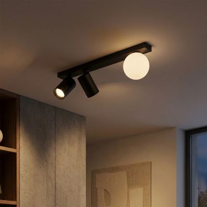 Brilagi - Spotlight fixture SELE BALL 2xGU10/30W/230V + 1xG9/10W black