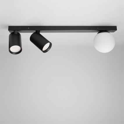 Brilagi - Spotlight fixture SELE BALL 2xGU10/30W/230V + 1xG9/10W black
