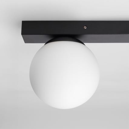 Brilagi - Spotlight fixture SELE BALL 2xGU10/30W/230V + 1xG9/10W black