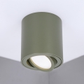 BRILAGI - Spotlight MIA 1xGU10/30W/230V 84x80 mm dark green