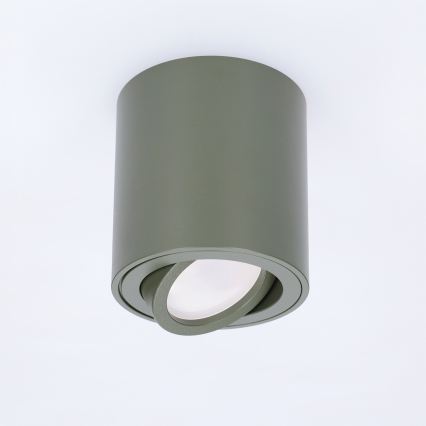 BRILAGI - Spotlight MIA 1xGU10/30W/230V 84x80 mm dark green