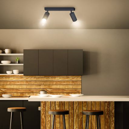 Brilagi - Spotlight SELE 2xGU10/30W/230V anthracite