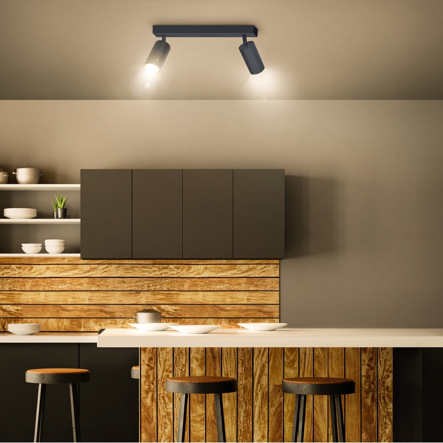 Brilagi - Spotlight SELE 2xGU10/30W/230V anthracite