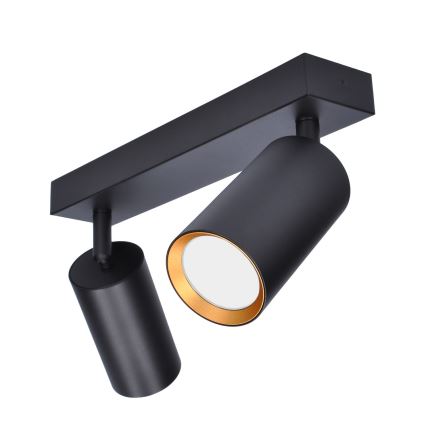 Brilagi - Spotlight SELE 2xGU10/30W/230V black/gold