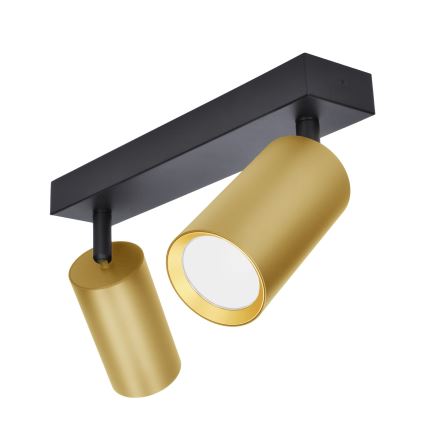 Brilagi - Spotlight SELE GOLDEN 2xGU10/30W/230V black/gold