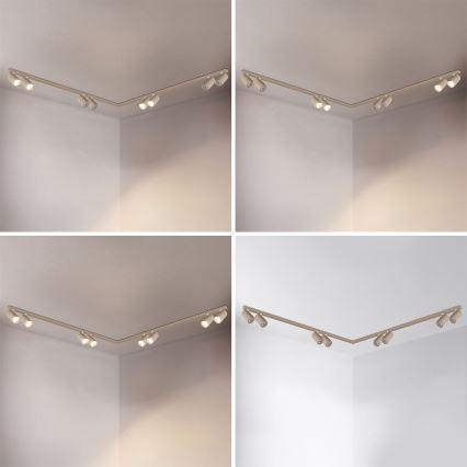 Brilagi - Spotlight SELE LONG 8xGU10/30W/230V beige