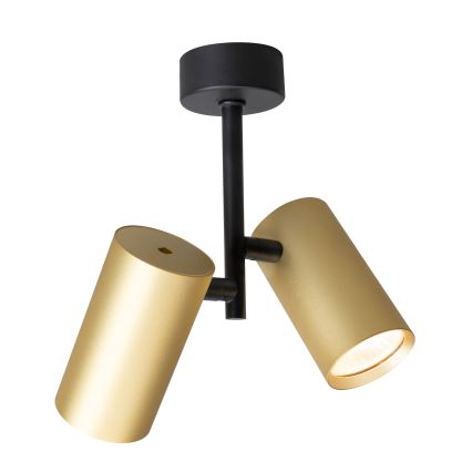 Brilagi - Spotlight SELE VERTICAL 2xGU10/30W/230V black/gold