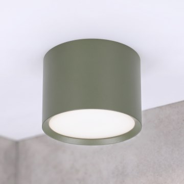 BRILAGI - Spotlight SMOOTH 1xGX53/15W/230V 60x82 mm dark green