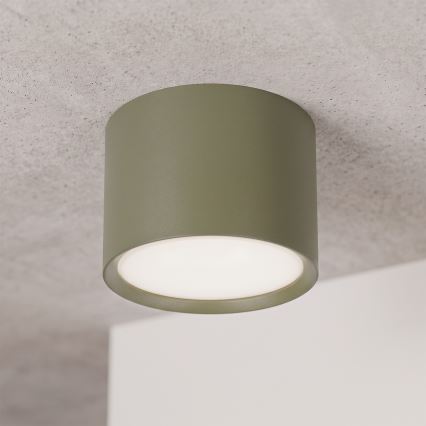 BRILAGI - Spotlight SMOOTH 1xGX53/15W/230V 60x82 mm dark green