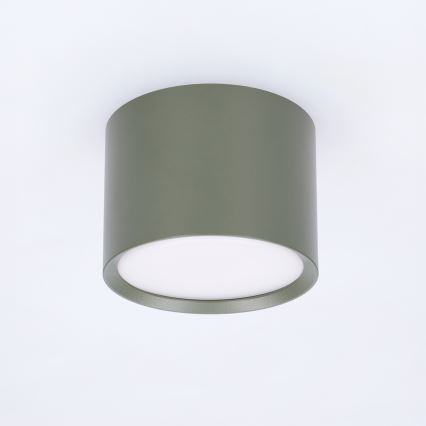 BRILAGI - Spotlight SMOOTH 1xGX53/15W/230V 60x82 mm dark green