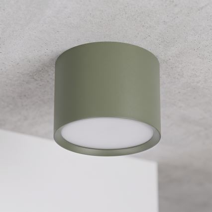 BRILAGI - Spotlight SMOOTH 1xGX53/15W/230V 60x82 mm dark green